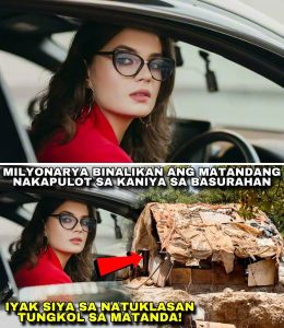 Ang Milyonarya at ang Scavenger